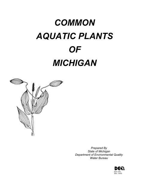 COMMON AQUATIC PLANTS OF MICHIGAN