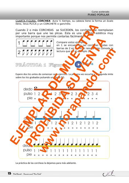 NIVEL ELEMENTAL - NORA PANDOL