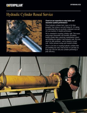 Hydraulic Cylinder Reseal Service Datasheet - Venequip