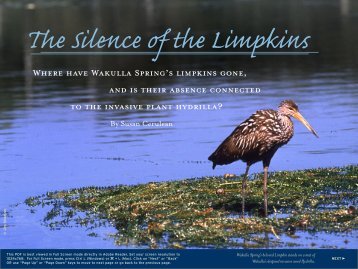 The Silence of the Limpkins: Where have Wakulla - Florida's Springs