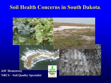 Soil Health