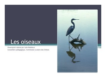 Les oiseaux - Science en ligne