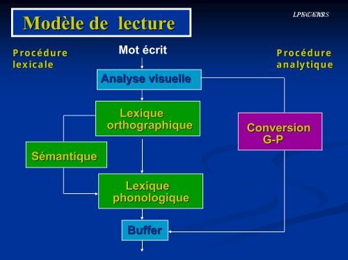 Dyslexie et apprentissage de la lecture - Institut des Sciences ...