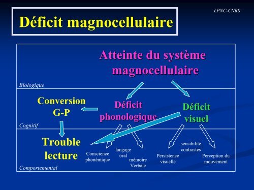 Dyslexie et apprentissage de la lecture - Institut des Sciences ...