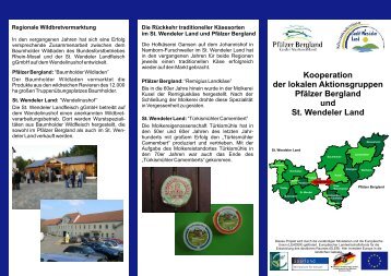 Flyer zur Kooperation mit der LAG PfÃ¤lzer Bergland - Kulani.de