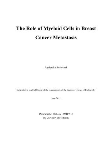 1 Introduction: The role of myeloid cells in breast cancer metastasis