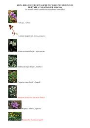 Scarica la lista con le foto delle specie - Gruppo Flora Alpina ...