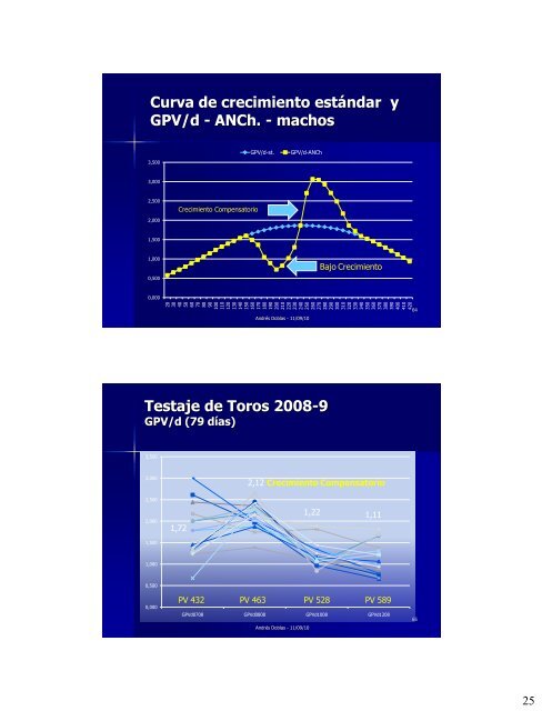 Cebo de terneros AlimentaciÃ³n de vacas nodrizas - geMax