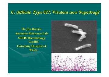 C. difficile Type 027: Virulent new Superbug? - Clostridia