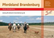 Pferdeland Brandenburg - pro agro eV