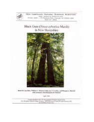 Black Gum - New Hampshire Division of Forests and Lands