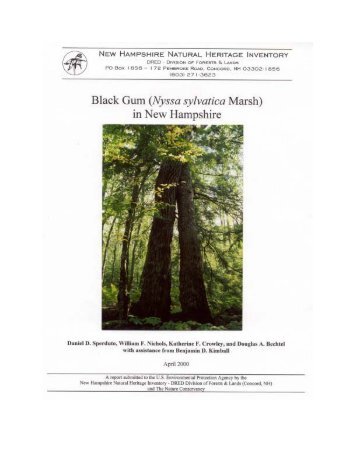 Black Gum - New Hampshire Division of Forests and Lands