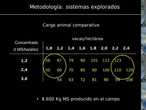 Carga animal