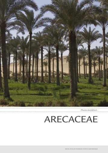 Phoenix Dactylifera L. ARECACEAE - Digital Plant Atlas Project