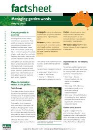 Controlling Creeping Garden Weeds - Land for Wildlife