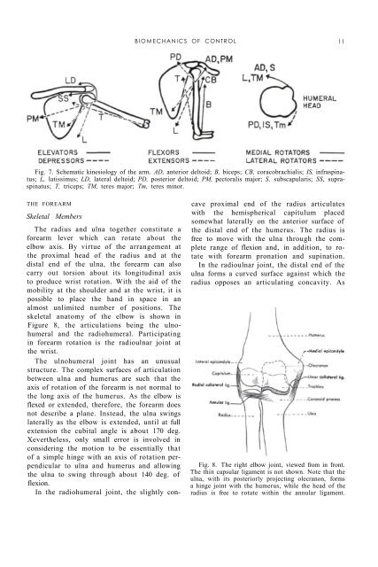 The Biomechanics of Control in Upper-Extremity Prostheses
