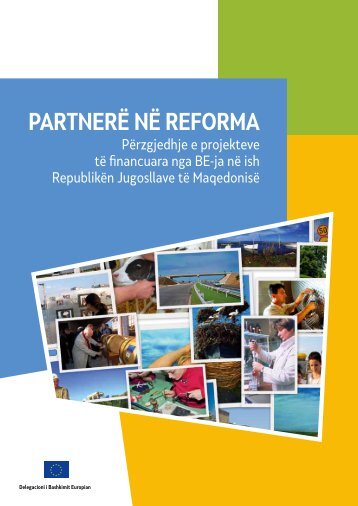 Partnere ne reforma - Europa