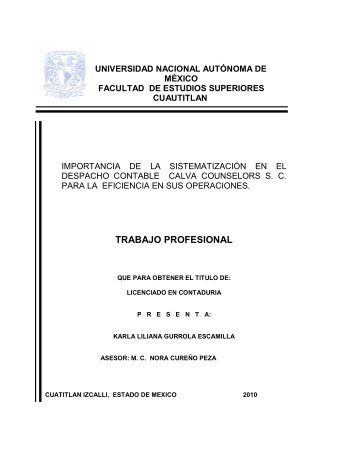 trabajo profesional - Universidad Nacional AutÃ³noma de MÃ©xico