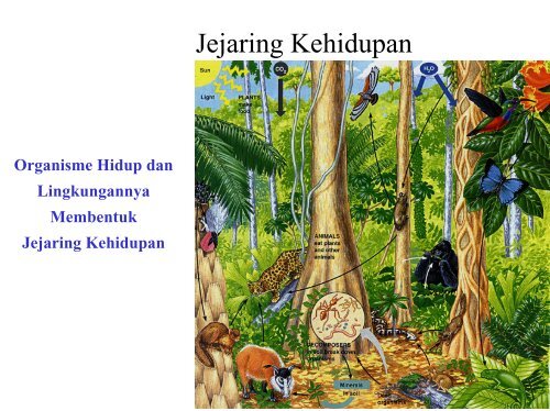 Kuliah 1 Cakupan Biologi.pdf - Web Asrama TPB-IPB