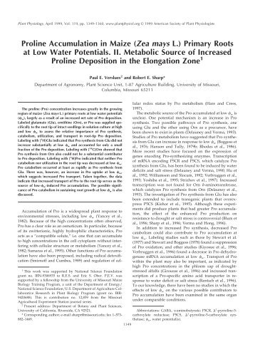 Proline Accumulation in Maize (Zea mays L ... - Plant Physiology