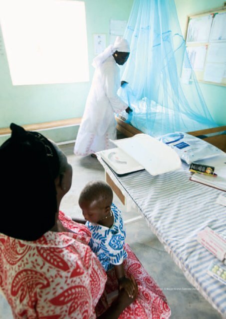 L'Alliance pour la prévention du paludisme - The Alliance for Malaria ...