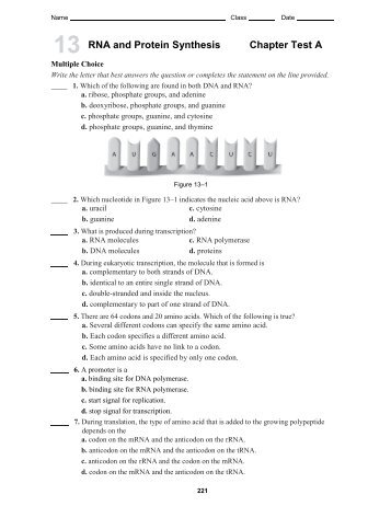 RNA and Protein Synthesis Chapter Test A