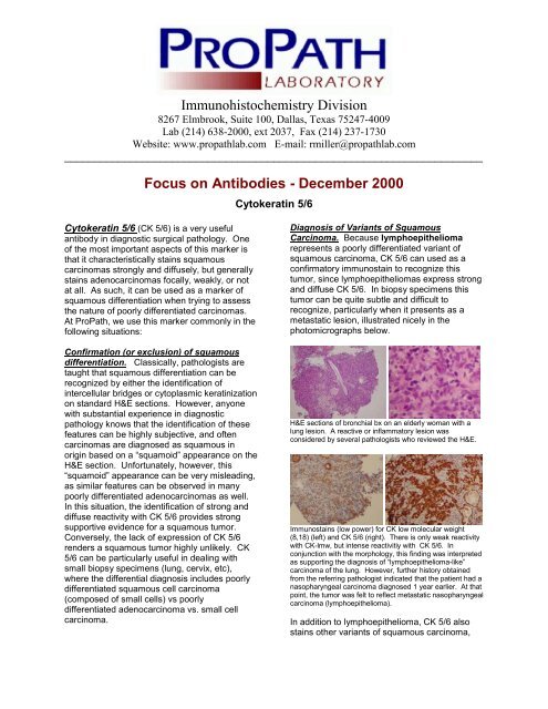 Cytokeratin 5 6 Ihc World