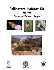 Pollinators Habitat Kit - Arizona-Sonora Desert Museum