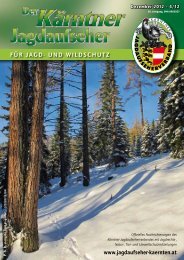 Ausgabe Dezember 2012 - Jagdaufseher KÃ¤rnten