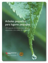 Arboles pequeÃ±os para lugares pequeÃ±os - Rocky Mountain Power