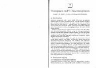 1 Transposon and T-DNA mutagenesis