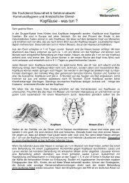 Merkblatt Eltern 