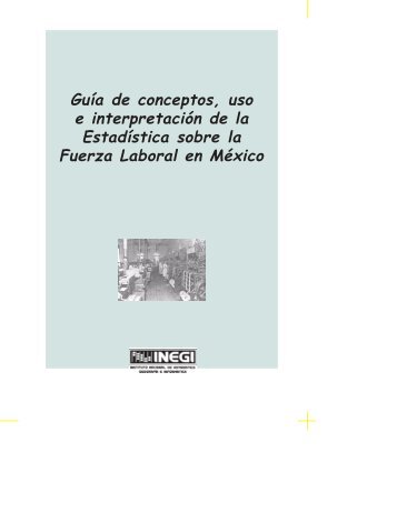 Guía de Conceptos, Uso e Interpretación de la Estadística ... - Inegi
