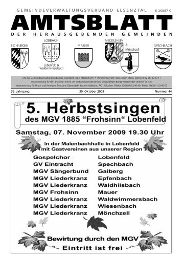 Amtsblatt - Meckesheim