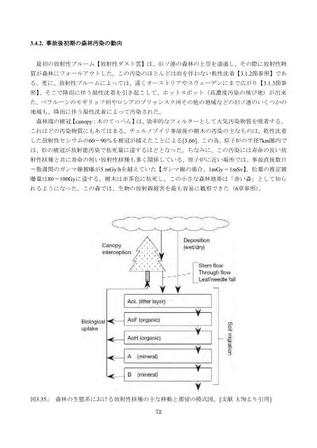 チェルノブイリ原発事故による 環境への影響とその修復 ... - 日本学術会議