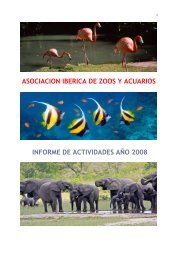 Informe Actividades AIZA Año 2008 completo