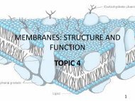 MEMBRANES: STRUCTURE AND FUNCTION - UMK CARNIVORES 3