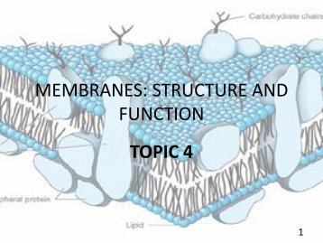 MEMBRANES: STRUCTURE AND FUNCTION - UMK CARNIVORES 3