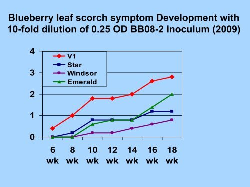 Bacterial Leaf Scorch of Blueberry - The Southern Region Small ...