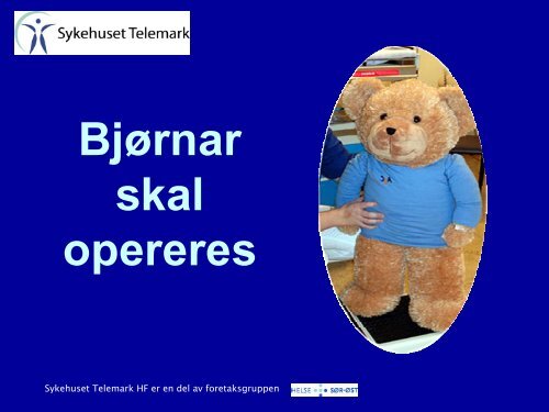 BjÃ¸rnar skal opereres - bildeserie - Sykehuset Telemark