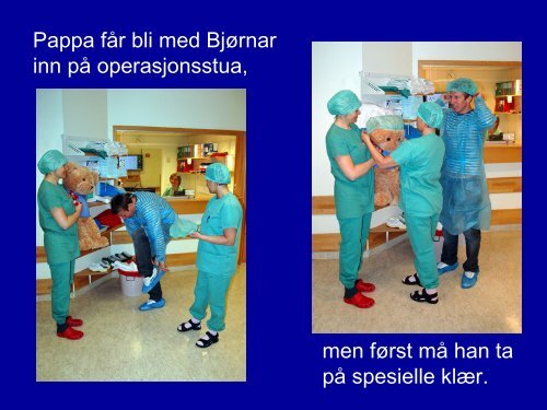 BjÃ¸rnar skal opereres - bildeserie - Sykehuset Telemark