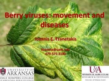 Berry viruses - The Southern Region Small Fruit Consortium