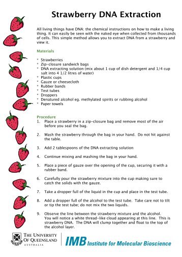 Download strawberry DNA extraction pdf