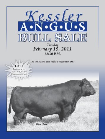 BULL SALE - Angus Journal