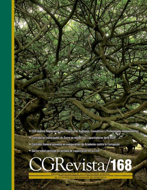 â¢ CGR elabora Reglamento para Registro de Auditores, Consultores ...