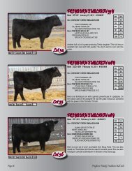 Lots 34-45 - SaskLivestock