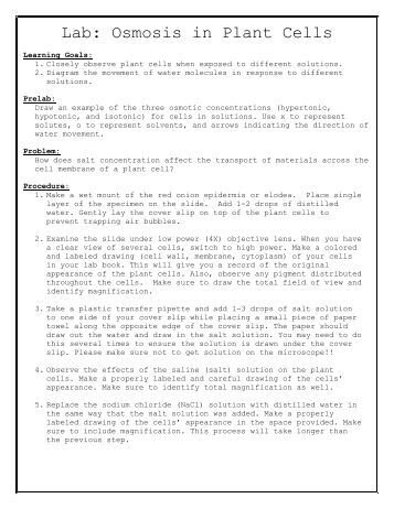lab research paper Buy lab report writing by professional phd writers pay less: get discounts, invite your friends and enjoy your a grades for all papers. lab research paper Buy lab report writing by professional phd writers pay less: get discounts, invite your friends and enjoy your a grades for all papers.