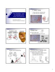 The Subtalar Joint: