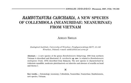 RAMBUTANURA CARCHARIA, A NEW SPECIES OF COLLEMBOLA