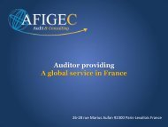 AFIGEC Auditor - A Global Service in France - PrimeGlobal